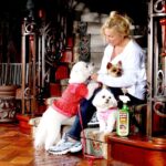 Bio Active Stain & Odor Remover for Pet & Carpet - Image 3