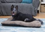 SportPet Designs Waterproof Pet Bed - Image 4