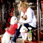 Bio Active Stain & Odor Remover for Pet & Carpet - Image 4