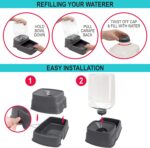 SportPet Food Bowls_Raised Stainless Steel Bowl_Gravity Feeder and Waterer - Image 6