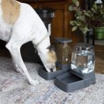 SportPet Food Bowls_Raised Stainless Steel Bowl_Gravity Feeder and Waterer - Image 2