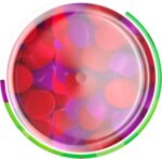 Vitafusion Womens Multivitamin Gummies, Berry Flavored Daily Vitamins for Women With Vitamins A, C, D, E, B-6 and B-12 - Image 4