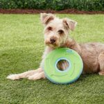 Chuckit Zipflight Flying Disc Dog Toy, Medium (8.5") - Image 4