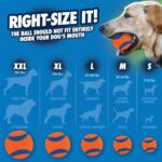 Chuckit! Ultra Ball Dog Toy, Medium (2.5 Inch Diameter) Pack of 2 - Image 4