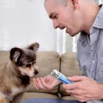 INABA Churu Bites for Dogs, Grain-Free, Soft/Chewy Dog Treats, 0.42 Ounces Each Tube | 48 Tubes - Image 4